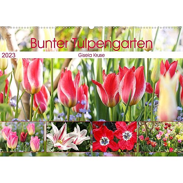 Bunter Tulpengarten (Wandkalender 2023 DIN A2 quer), Gisela Kruse