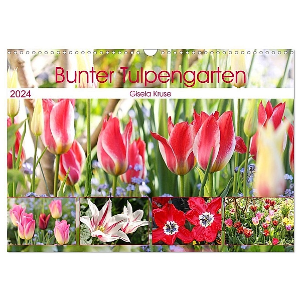 Bunter Tulpengarten (Wandkalender 2024 DIN A3 quer), CALVENDO Monatskalender, Gisela Kruse