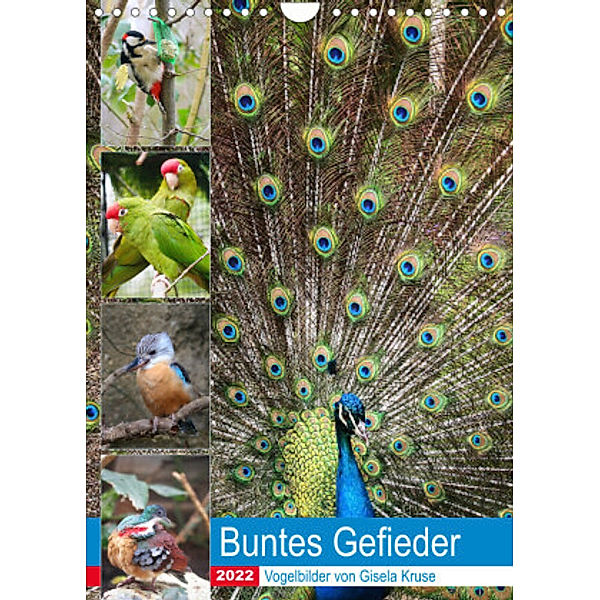 Buntes Gefieder Vogelbilder (Wandkalender 2022 DIN A4 hoch), Gisela Kruse