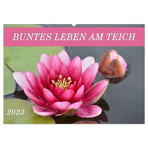 Buntes Leben am Teich (Wandkalender 2024 DIN A2 quer), CALVENDO Monatskalender, Ingrid Franz