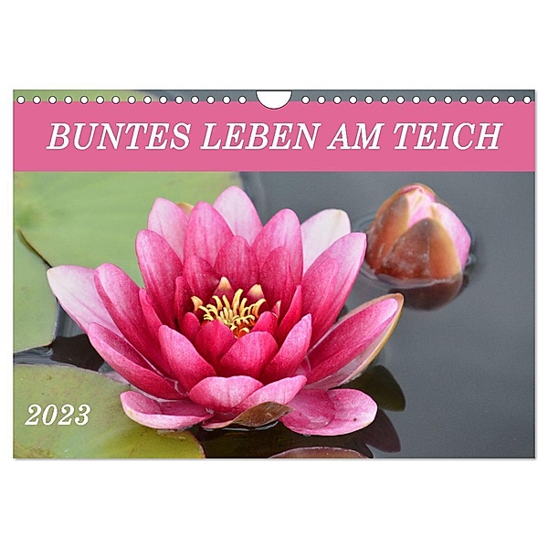Buntes Leben am Teich (Wandkalender 2024 DIN A4 quer), CALVENDO Monatskalender, Ingrid Franz