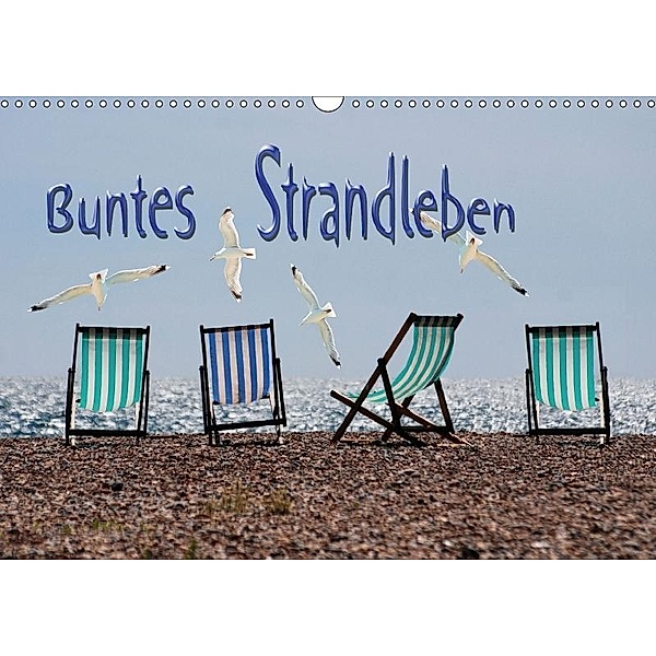 Buntes Strandleben (Wandkalender 2017 DIN A3 quer), Renate Bleicher