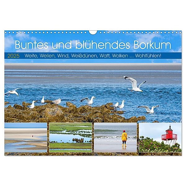 Buntes und blühendes Borkum (Wandkalender 2025 DIN A3 quer), CALVENDO Monatskalender, Calvendo, Tatjana Balzer