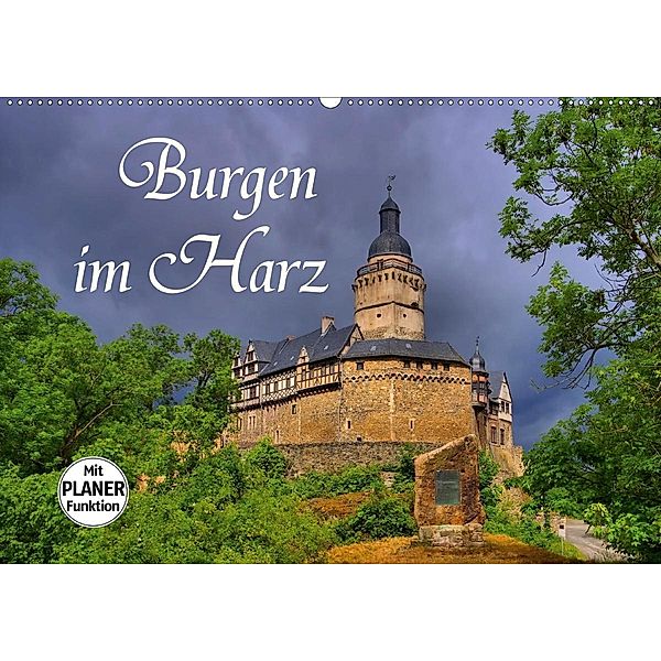 Burgen im Harz (Wandkalender 2020 DIN A2 quer)