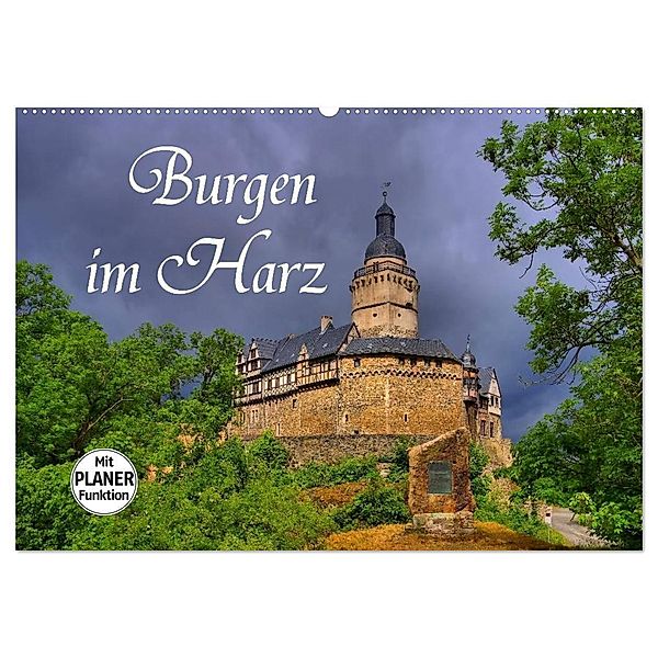 Burgen im Harz (Wandkalender 2024 DIN A2 quer), CALVENDO Monatskalender, LianeM