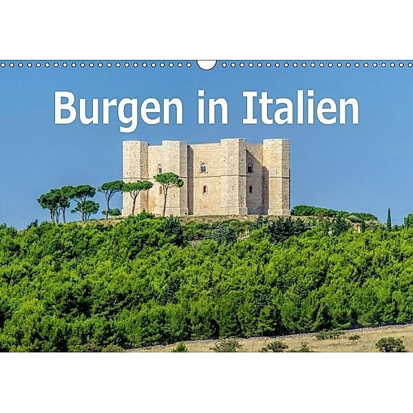 Burgen in Italien (Wandkalender 2017 DIN A3 quer), LianeM