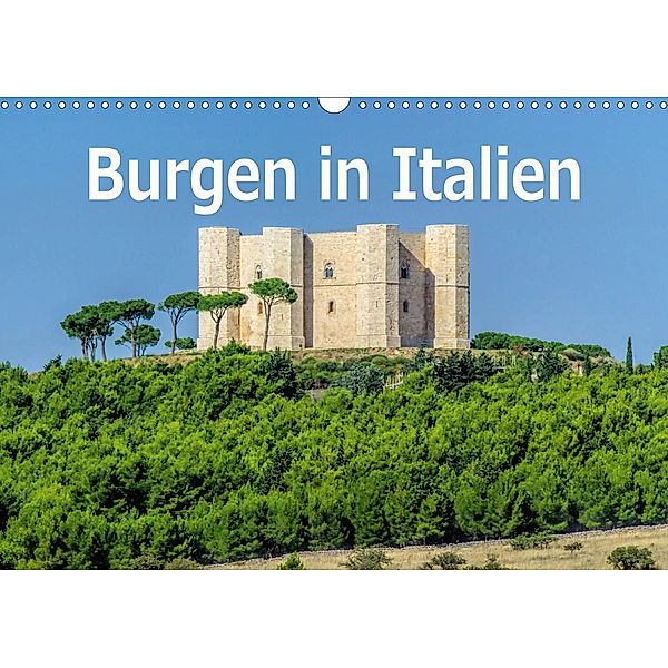 Burgen in Italien (Wandkalender 2021 DIN A3 quer), LianeM