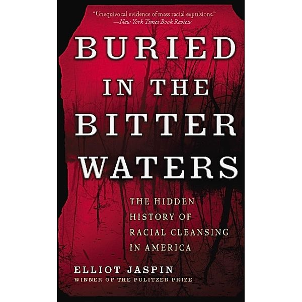 Buried in the Bitter Waters, Elliot Jaspin