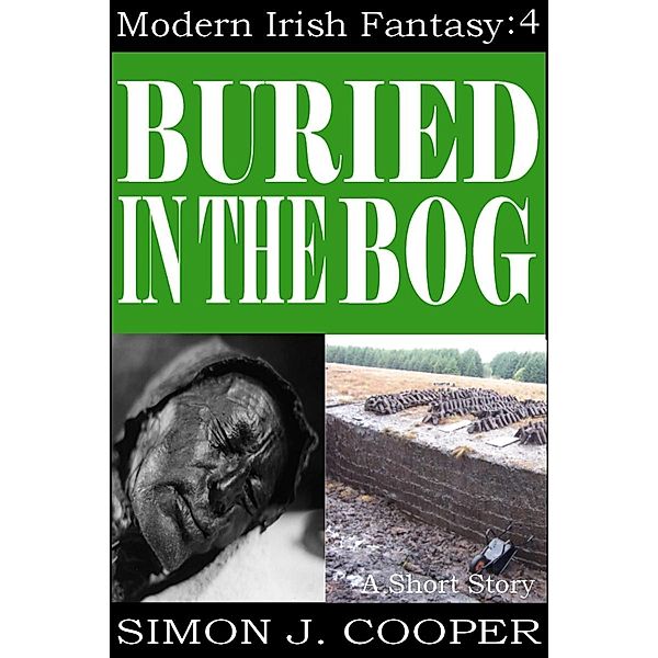 Buried in the Bog / Holbrook Publishing, Simon J. Cooper