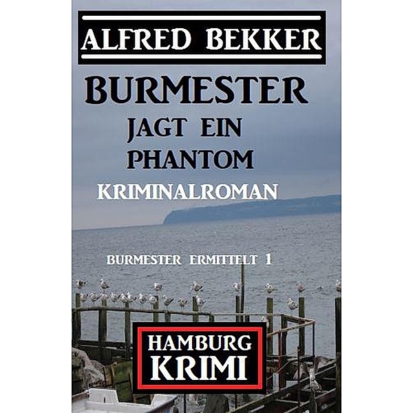 Burmester jagt ein Phantom: Hamburg Krimi Burmester ermittelt 1, Alfred Bekker