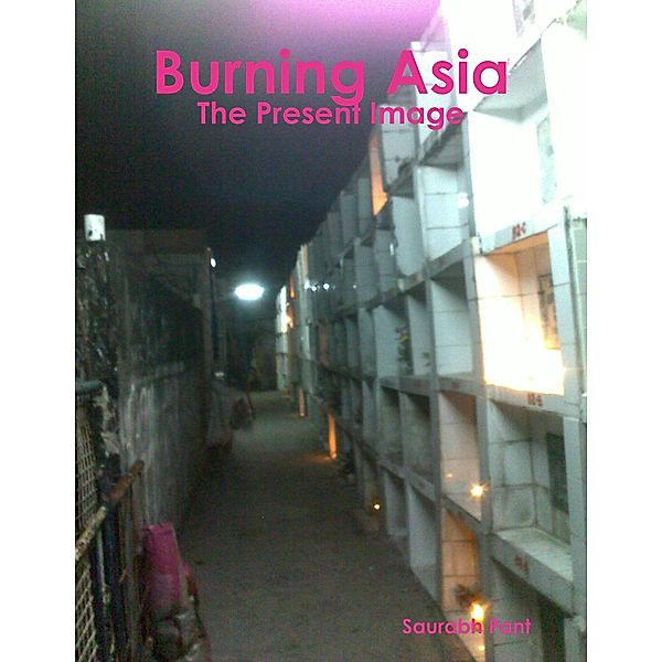 Burning Asia: The Present Image, Saurabh Pant