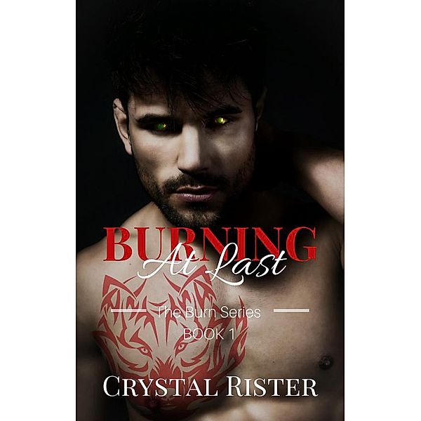 Burning At Last ((The Burn Series : Book 1)) / (The Burn Series : Book 1), Crystal Rister