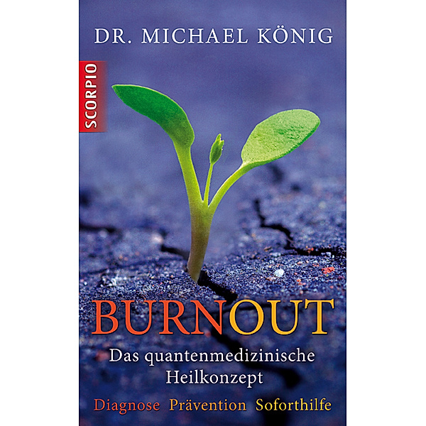 Burnout, Michael König
