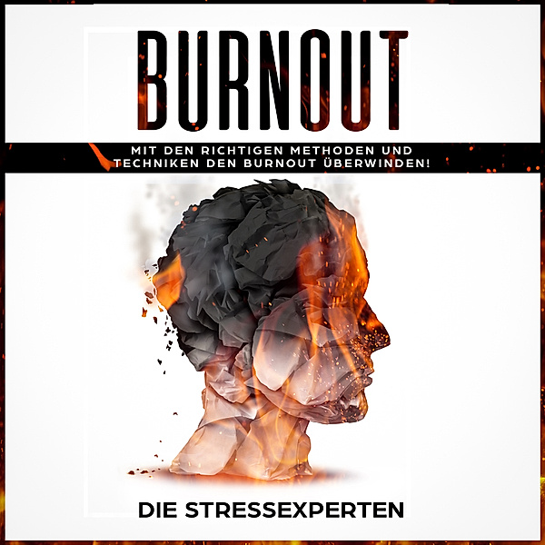 Burnout, Die Stressexperten