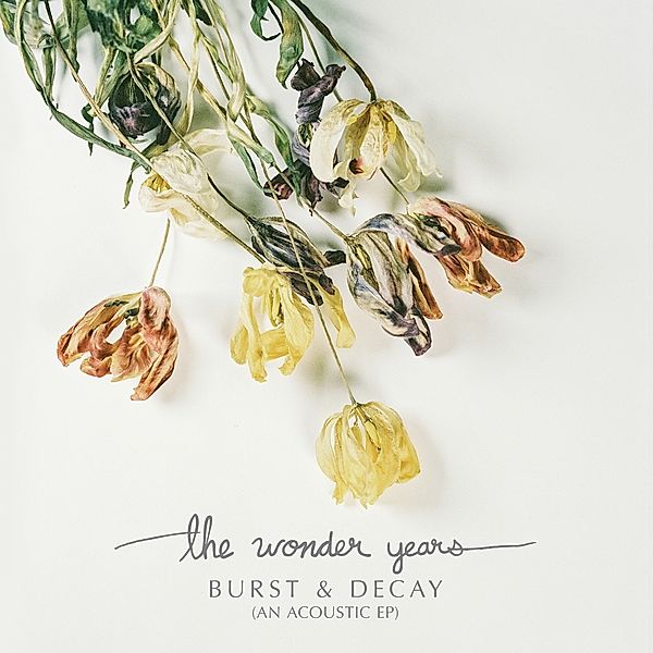 Burst & Decay (Vinyl), Wonder Years