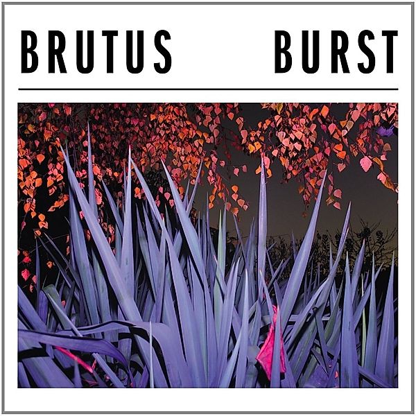 Burst (Vinyl), Brutus
