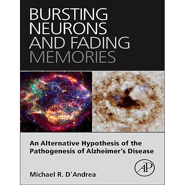 Bursting Neurons and Fading Memories, Michael R. D'Andrea