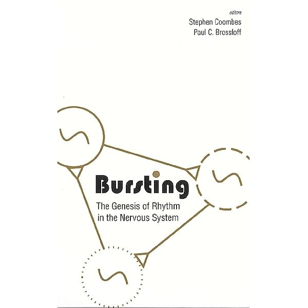 Bursting: The Genesis Of Rhythm In The Nervous System