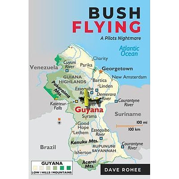 BUSH FLYING / DRTLC Marketing LLC, Dave Rohee
