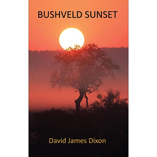 Bushveld Sunset, David James Dixon