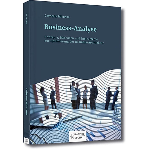 Business-Analyse, Clemente Minonne