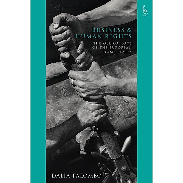 Business and Human Rights, Dalia Palombo