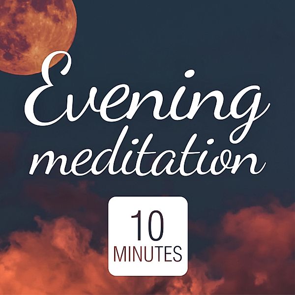 Business and Personal Development - 4 - Evening Meditation: Mindfulness, Suzan van der Goes