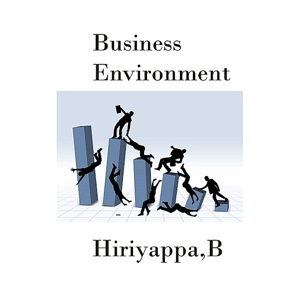 Business Environment, Hiriyappa B