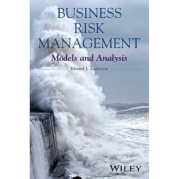 Business Risk Management, Edward J. Anderson