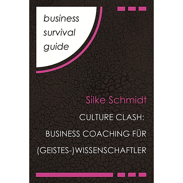 Business Survival Guide: Culture Clash / Business Survival Guide, Silke Schmidt
