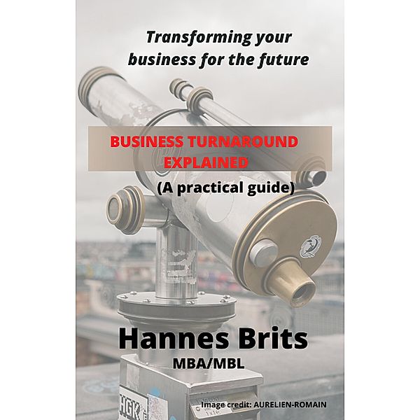 Business Turnaround Explained (A Practical Guide), Hannes Brits