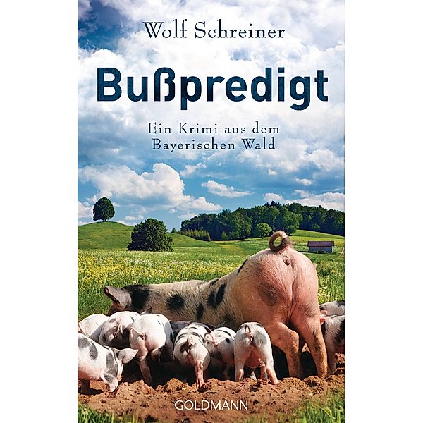 Bußpredigt / Baltasar Senner Bd.3, Wolf Schreiner