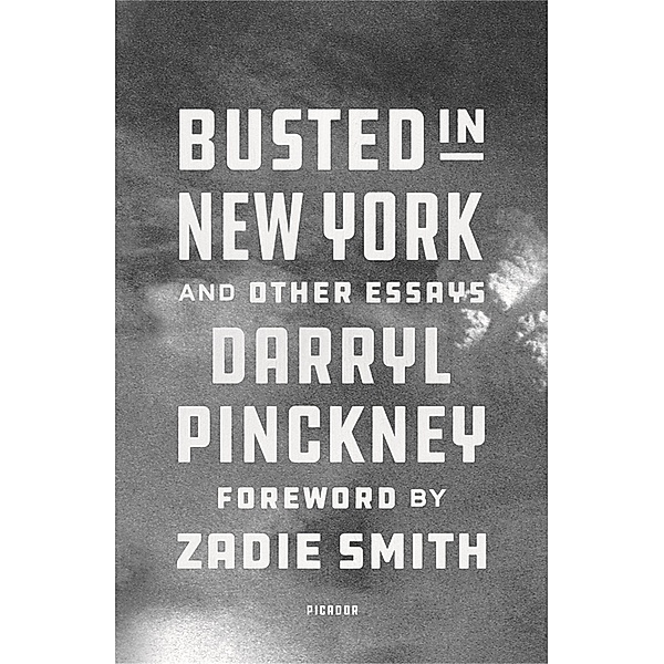 Busted in New York & Other Essays, Darryl Pinckney