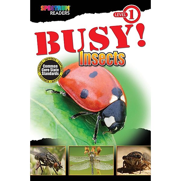BUSY! Insects, Lisa Kurkov