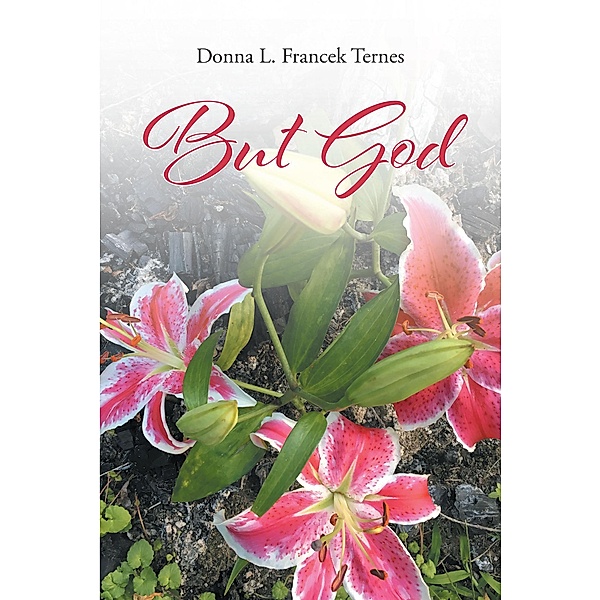 But God, Donna L. Francek Ternes