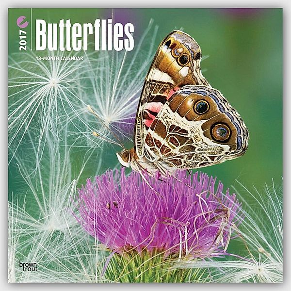 Butterflies, Inc Browntrout Publishers