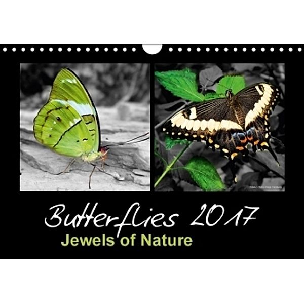 Butterflies 2017 Jewels of Nature (Wall Calendar 2017 DIN A4 Landscape), © Mirko Weigt