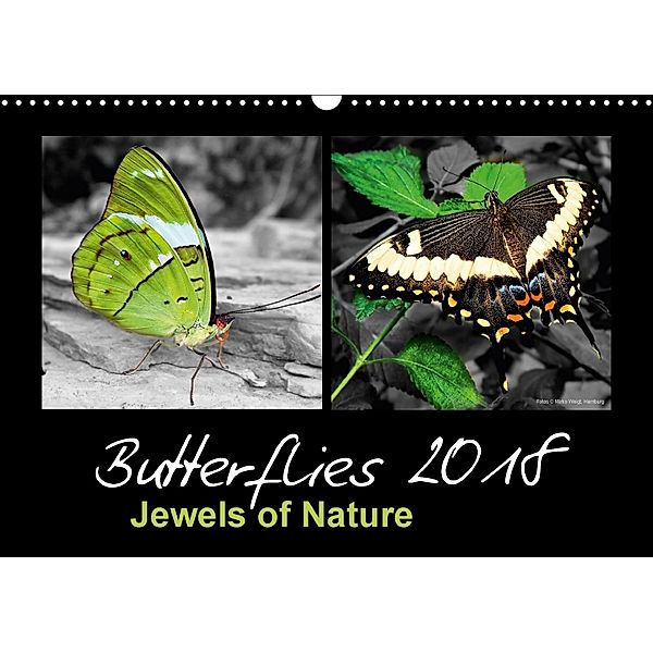 Butterflies 2018 Jewels of Nature (Wall Calendar 2018 DIN A3 Landscape), © Mirko Weigt