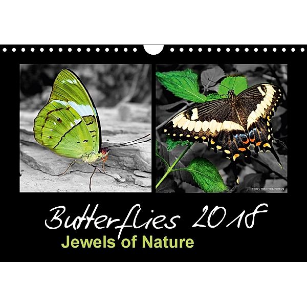 Butterflies 2018 Jewels of Nature (Wall Calendar 2018 DIN A4 Landscape), © Mirko Weigt