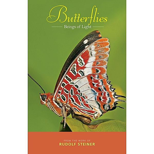 Butterflies, Rudolf Steiner