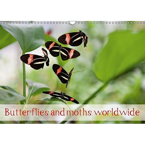 Butterflies and moths worldwide (Wall Calendar 2019 DIN A3 Landscape), Thomas Zeidler