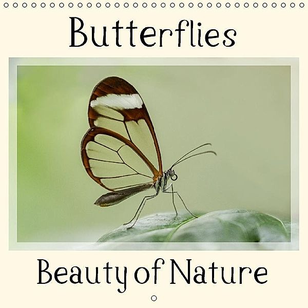 Butterflies Beauty of Nature (Wall Calendar 2018 300 × 300 mm Square), Marion Maurer