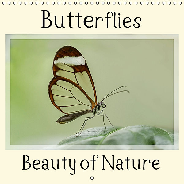 Butterflies Beauty of Nature (Wall Calendar 2019 300 × 300 mm Square), Marion Maurer