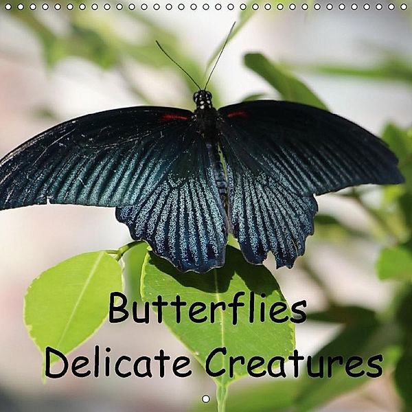 Butterflies delicate creatures (Wall Calendar 2018 300 × 300 mm Square), Four Hands Art