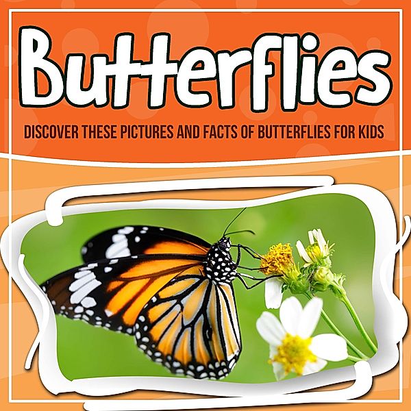 Butterflies: Discover These Pictures And Facts Of Butterflies For Kids / Bold Kids, Bold Kids