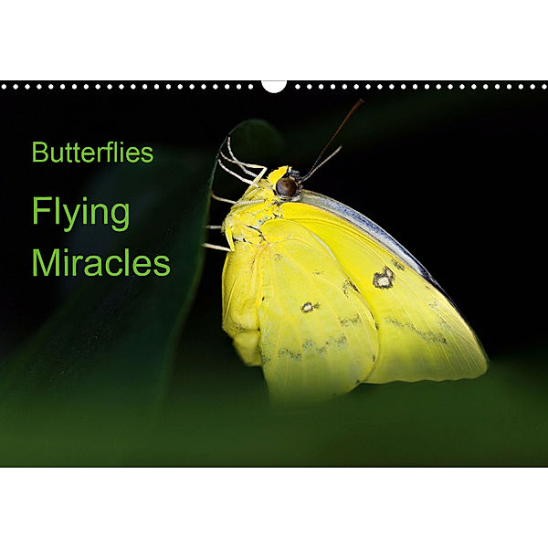 Butterflies, flying miracles (Wall Calendar 2021 DIN A3 Landscape), Thomas Zeidler