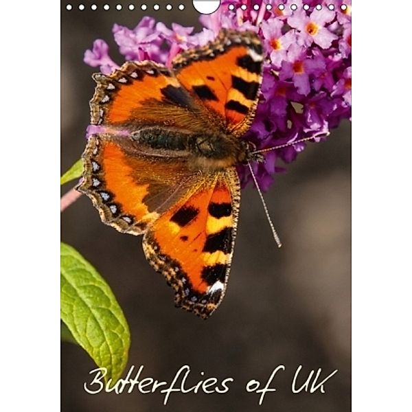 Butterflies of UK (Wall Calendar 2017 DIN A4 Portrait), Dalyn