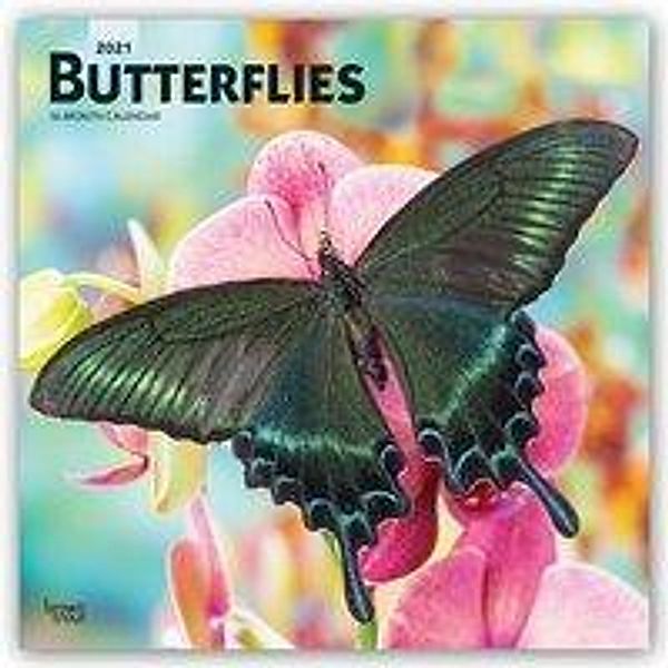 Butterflies - Schmetterlinge 2021 - 16-Monatskalender, BrownTrout Publisher