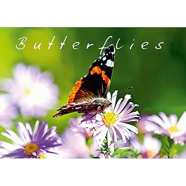 Butterflies (Tischaufsteller DIN A5 quer), Bernd Witkowski