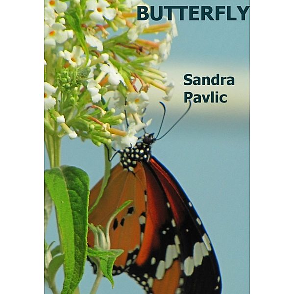 Butterfly, Sandra Pavlic